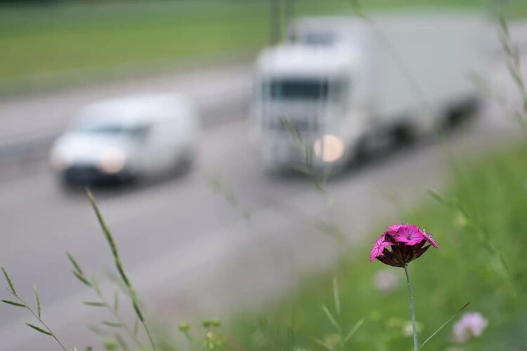 Britpave, the British Cementitious Paving Association, is advocating the use of titanium dioxide to make concrete roads counteract traffic fumes.